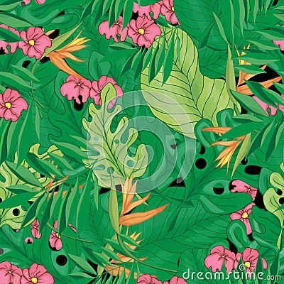 Various leaves, jungle Stock Photo
